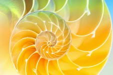 Campo vibratorio que conecta todas las cosas. Se le ha denominado Akasha, el OM primordial, la red.