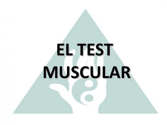 2562_touch-for-health-toque-para-la-salud-17-728