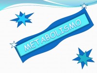 Llevando equilibrados los “Procesos de Eliminación”, o Catabolismo