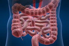 La colonterapia o hidroterapia de colon, se recomienda como depurativo celular