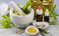 La homotoxicología, partiendo de los principios fundamentales de la homeopatía.