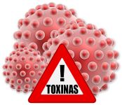 Deben realizar una Desintoxicación de los alimentos tóxicos,